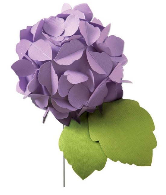 Fustella Sizzix Ortensia 664367