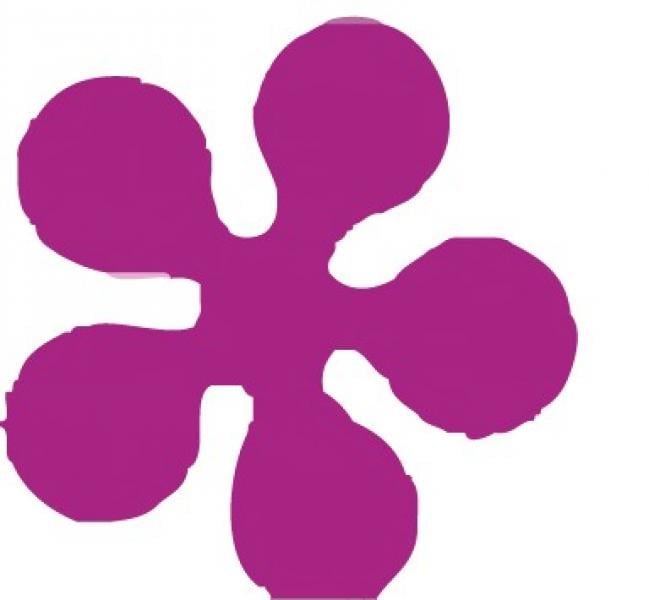 Punch fiore 5 petali