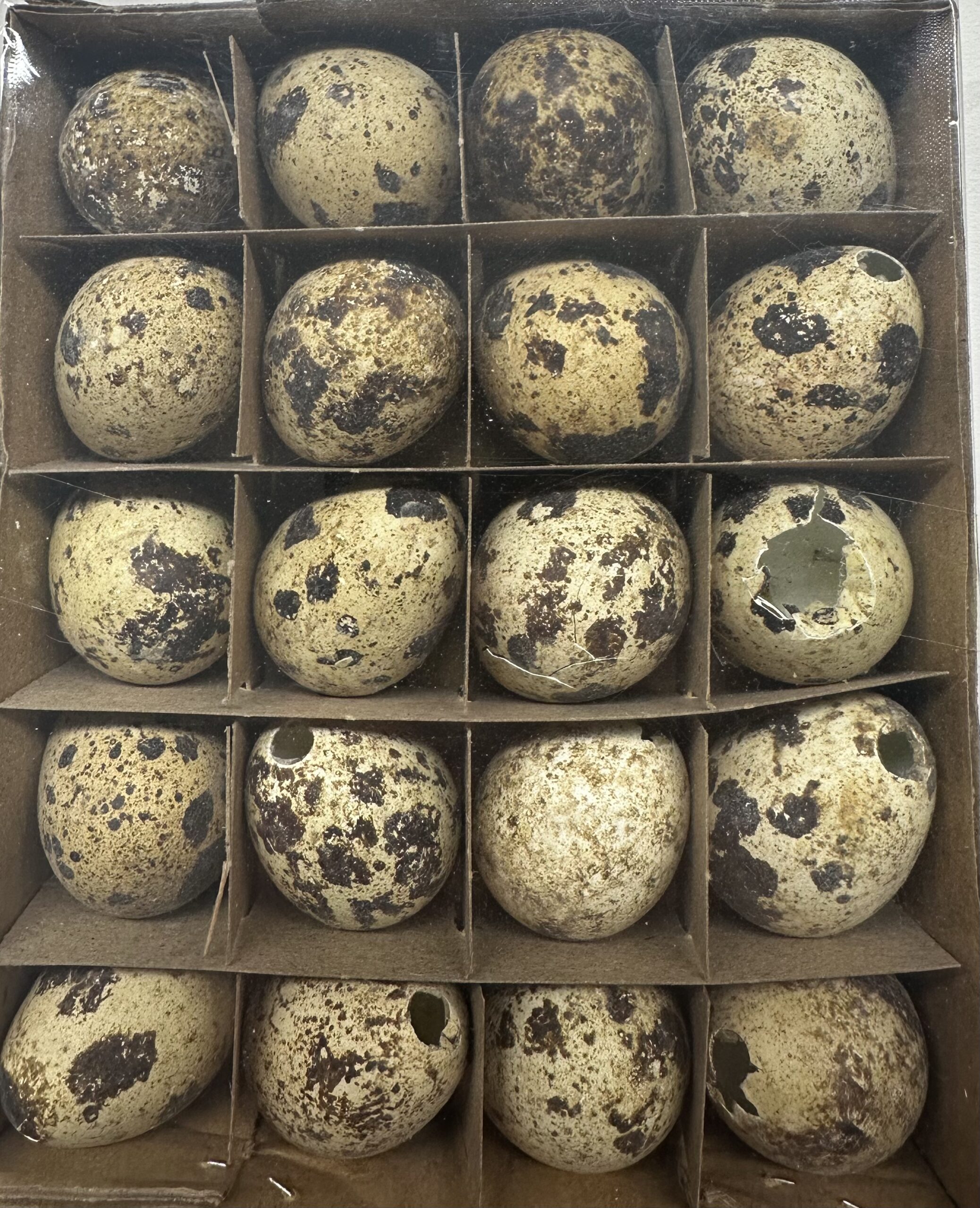 Set 20 Uova Pasquali