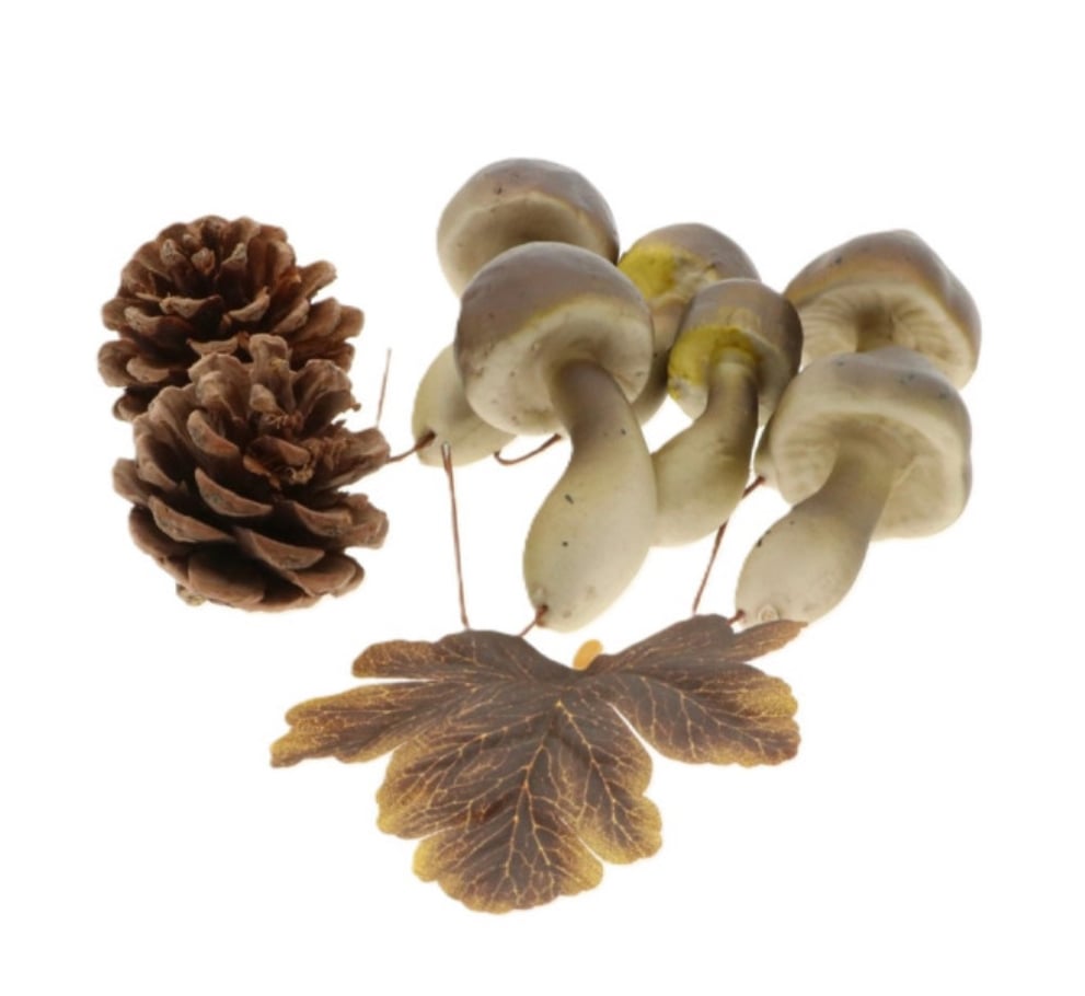 Funghi Pigne e Foglie Verdi