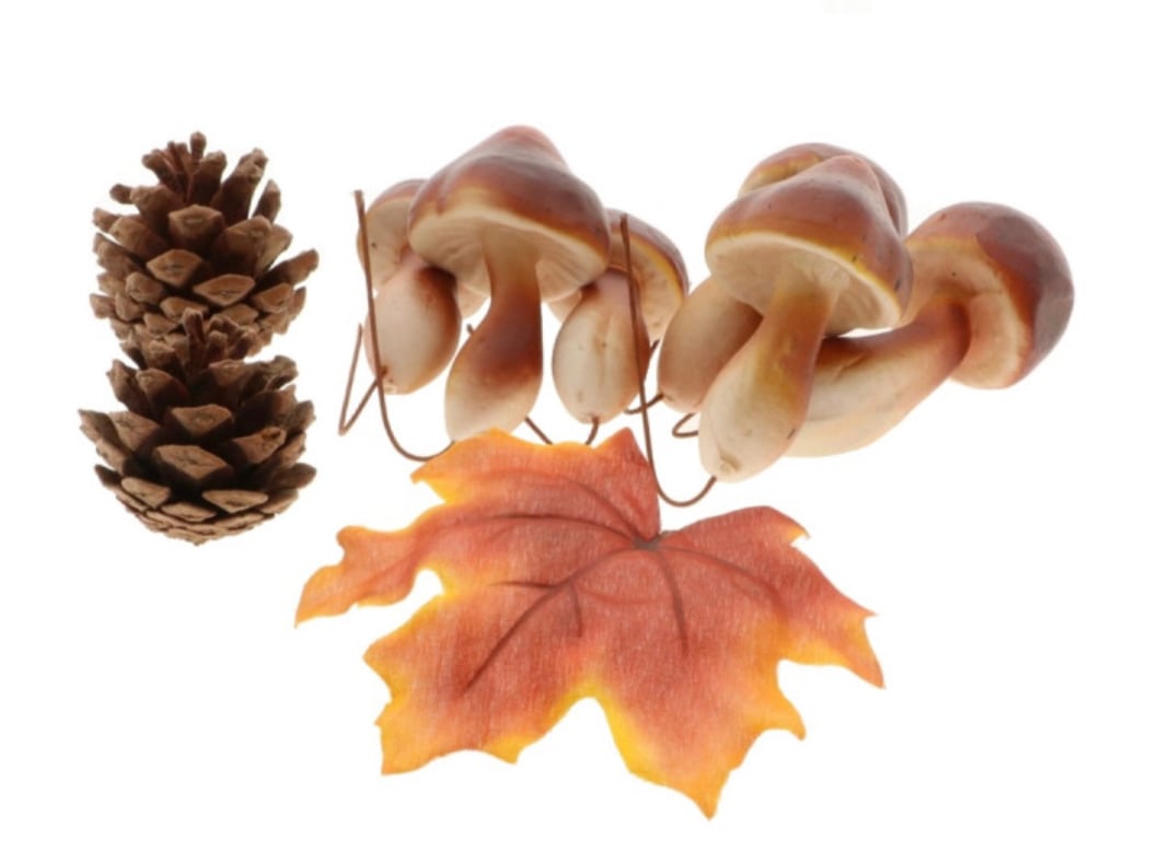 Funghi Pigne e Foglie Rosse