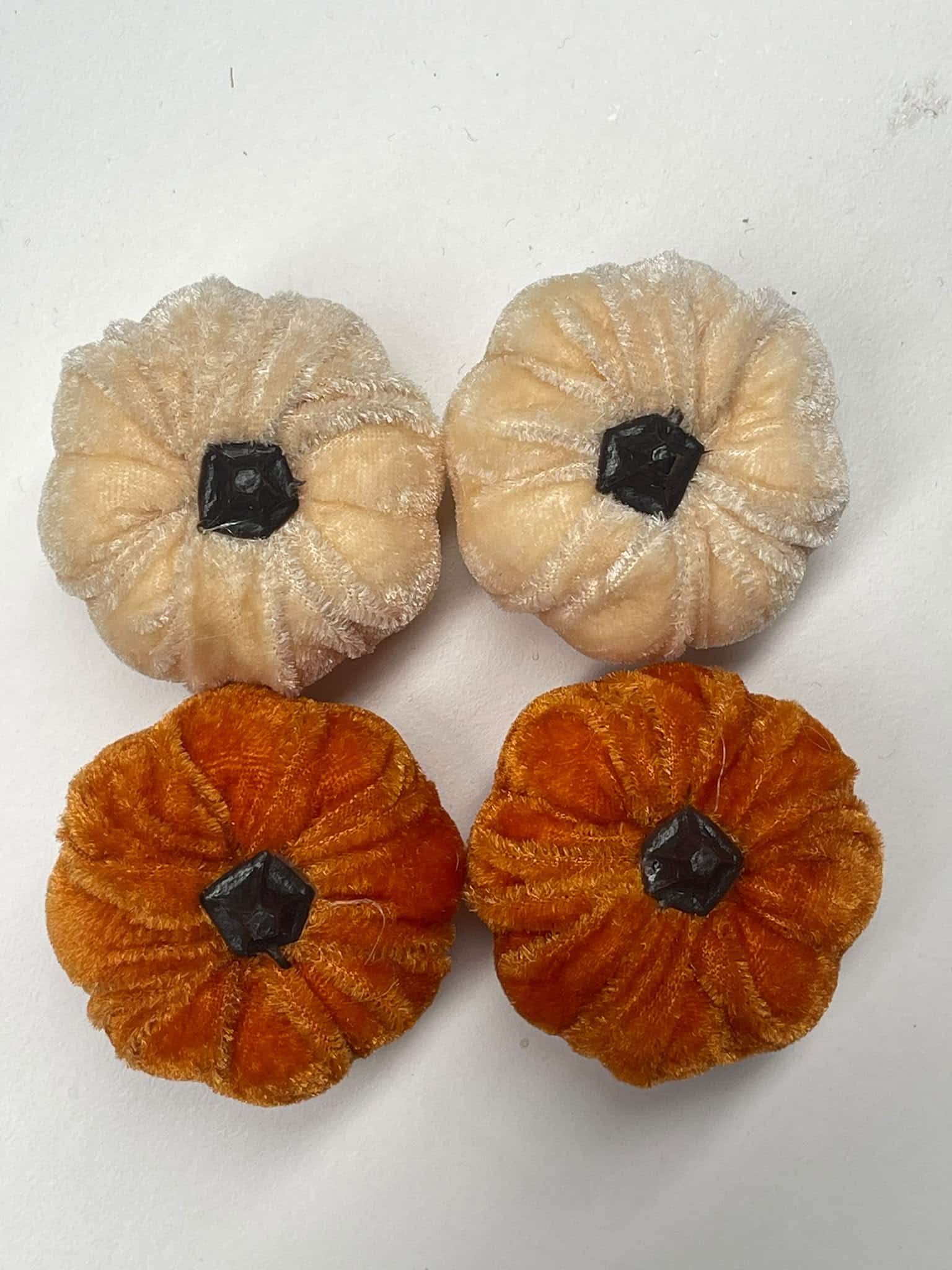 Zucche 5.5 Mix